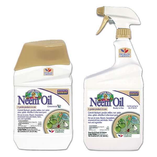 Neem Oil Vs Chemical Pesticide Which Works Better