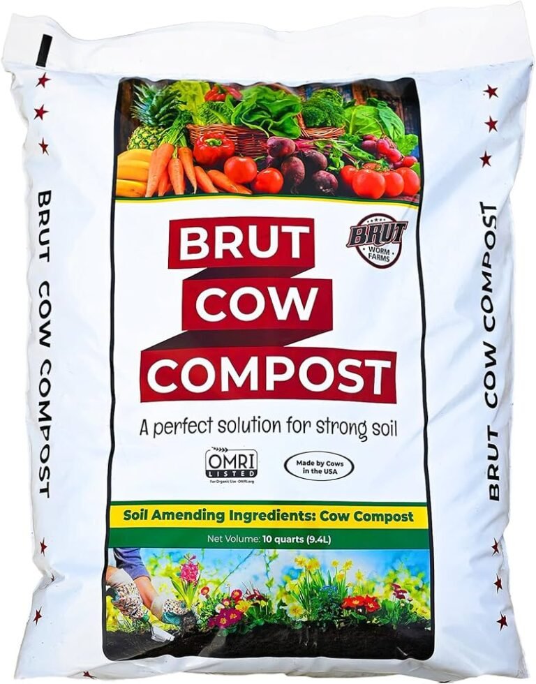 Compost Vs Fertilizer For Vegetable Garden