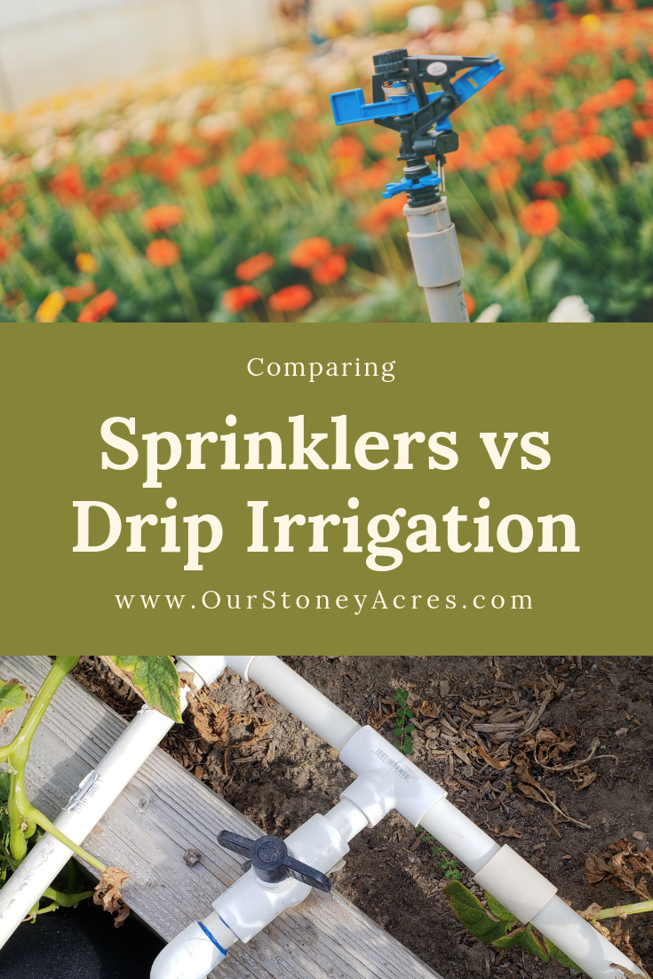 Drip Irrigation Vs Sprinkler Which Is Better