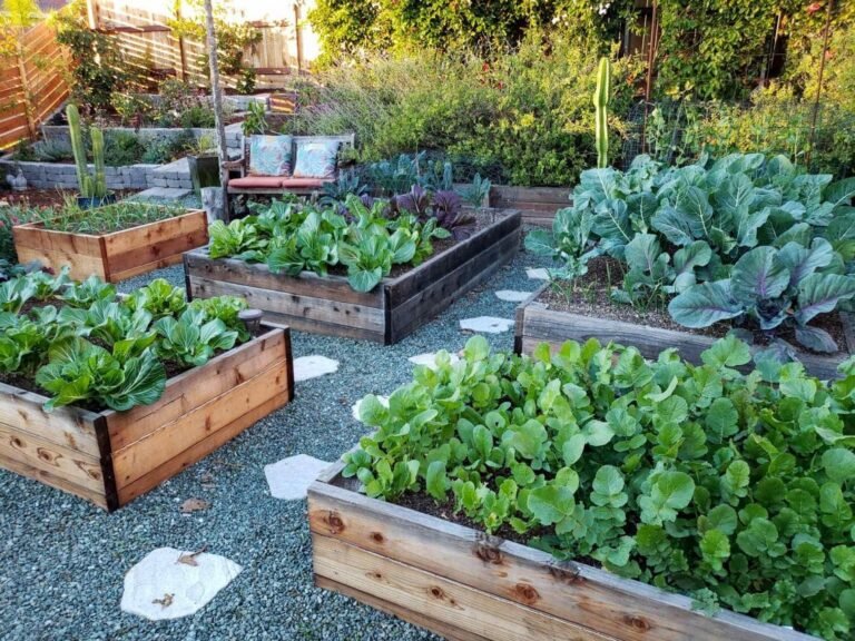 Raised Bed Vs In Ground Gardening Pros Cons