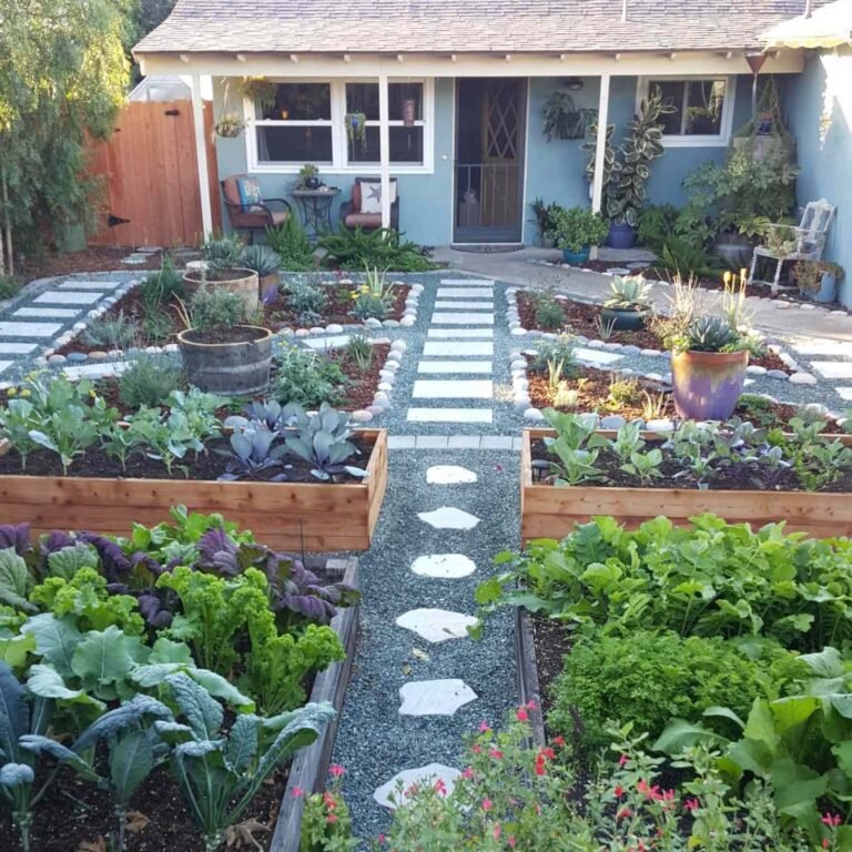 How To Start A Small Garden At Home