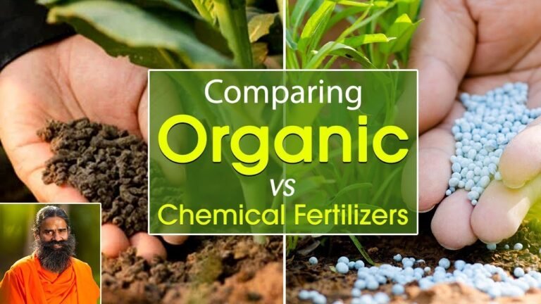 Organic Vs Chemical Fertilizer