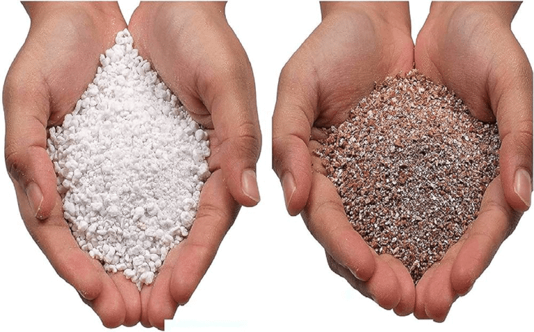 Perlite Vs Vermiculite