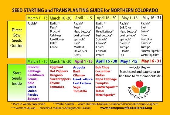Seed Starting Guide