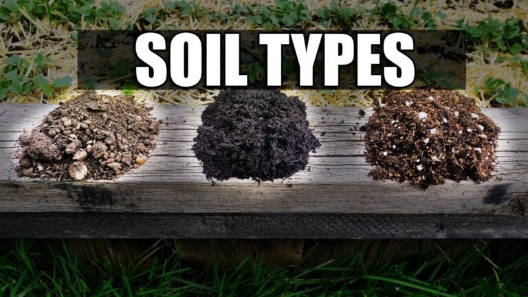 Topsoil Vs Potting Soil