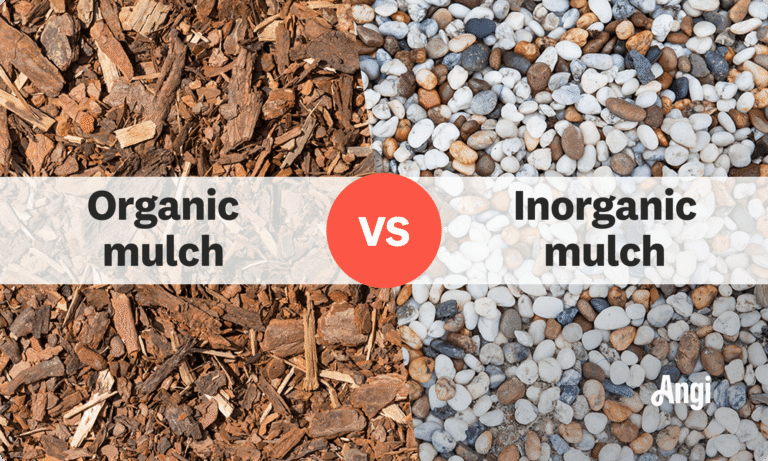 Organic Vs Inorganic Mulch