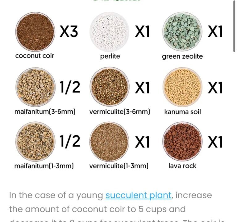 Vermiculite Vs Coco Peat