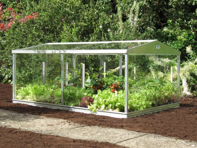 Greenhouse Vs Cold Frame