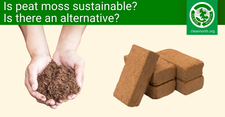 Coco Coir Vs Peat Moss