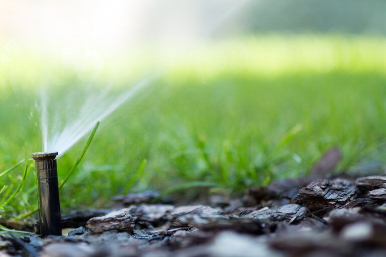 Sprinkler Vs Drip Irrigation