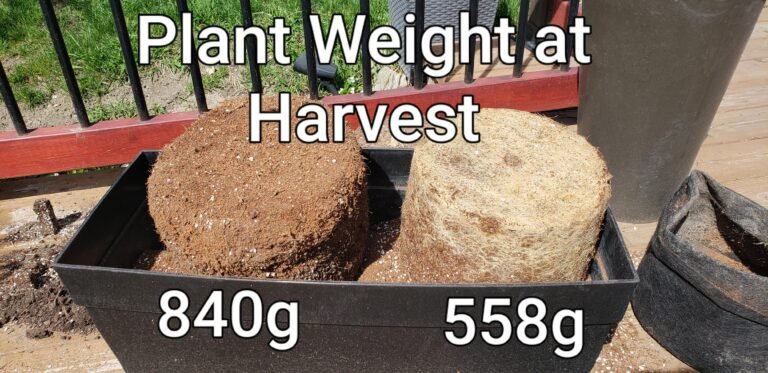 Fabric Pots Vs Plastic Pots