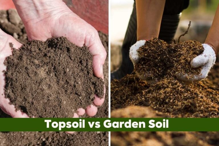 Topsoil Vs Garden Soil