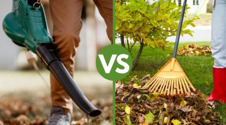 Leaf Blower Vs Garden Rake
