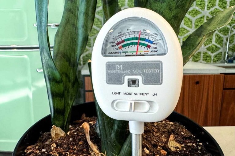 Rain Gauge Vs Soil Moisture Meter