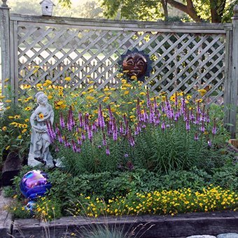 How To Build A Butterfly Garden