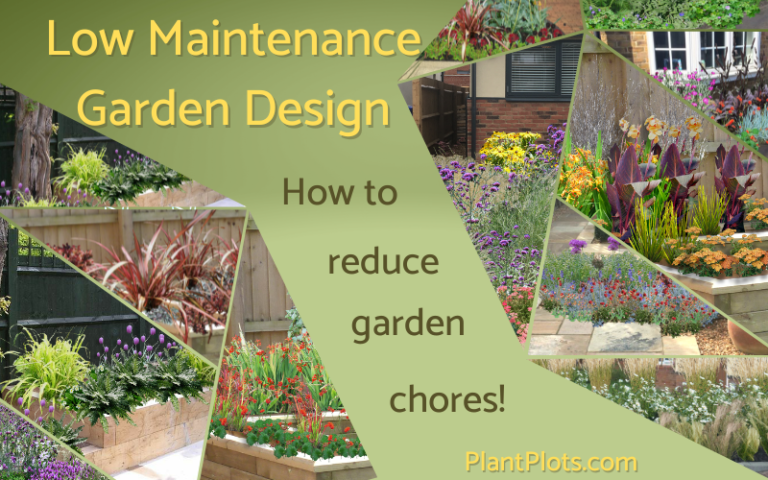 How To Create A Low Maintenance Garden