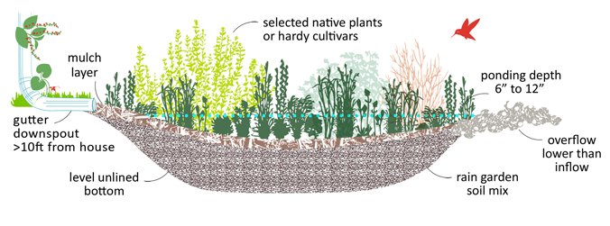 How To Create A Rain Garden