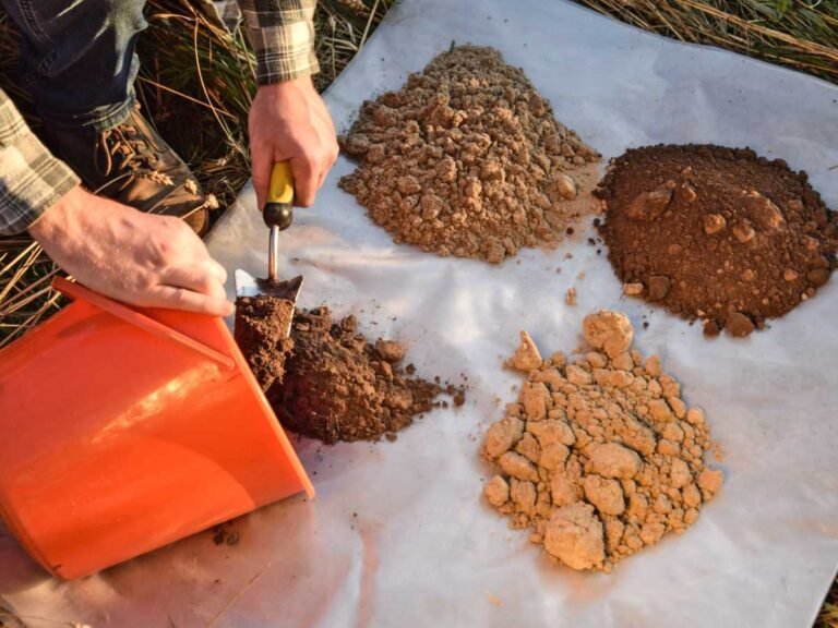 How To Identify Your Garden Soil Type
