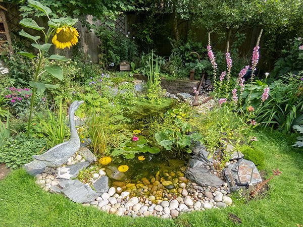 How To Create A Wildlife Garden