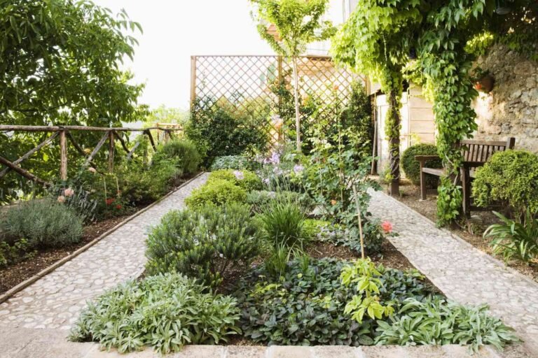 How To Start A Sensory Garden