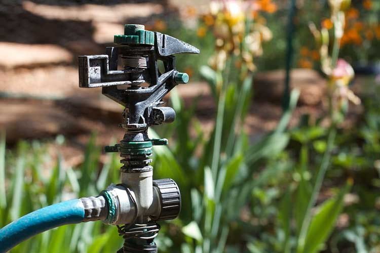 Oscillating Sprinkler Vs Rotary Sprinkler