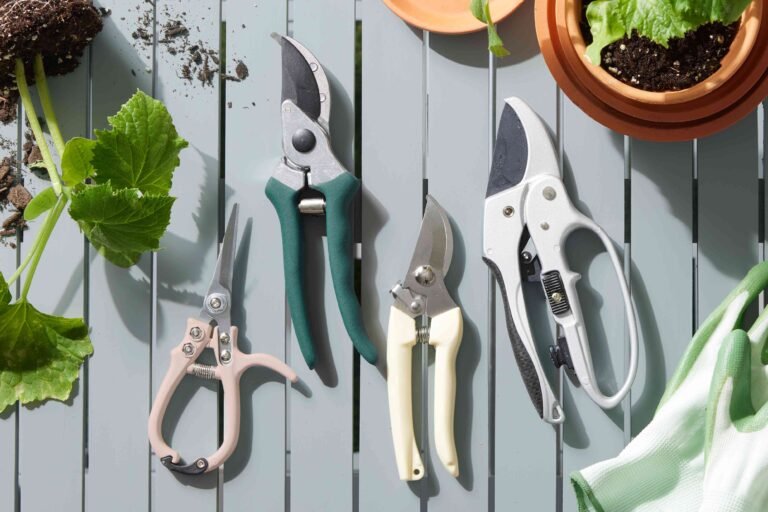 Loppers Vs Pruning Saw