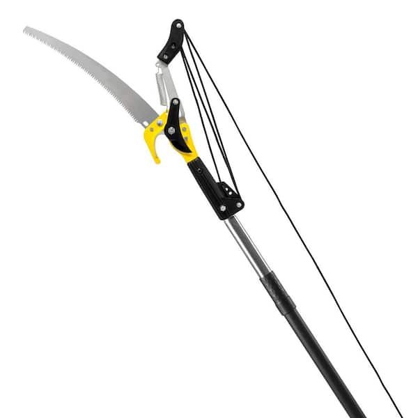 Pole Pruner Vs Pruning Saw